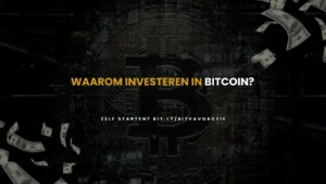 Waarom investeren mensen in bitcoin? Uitleg