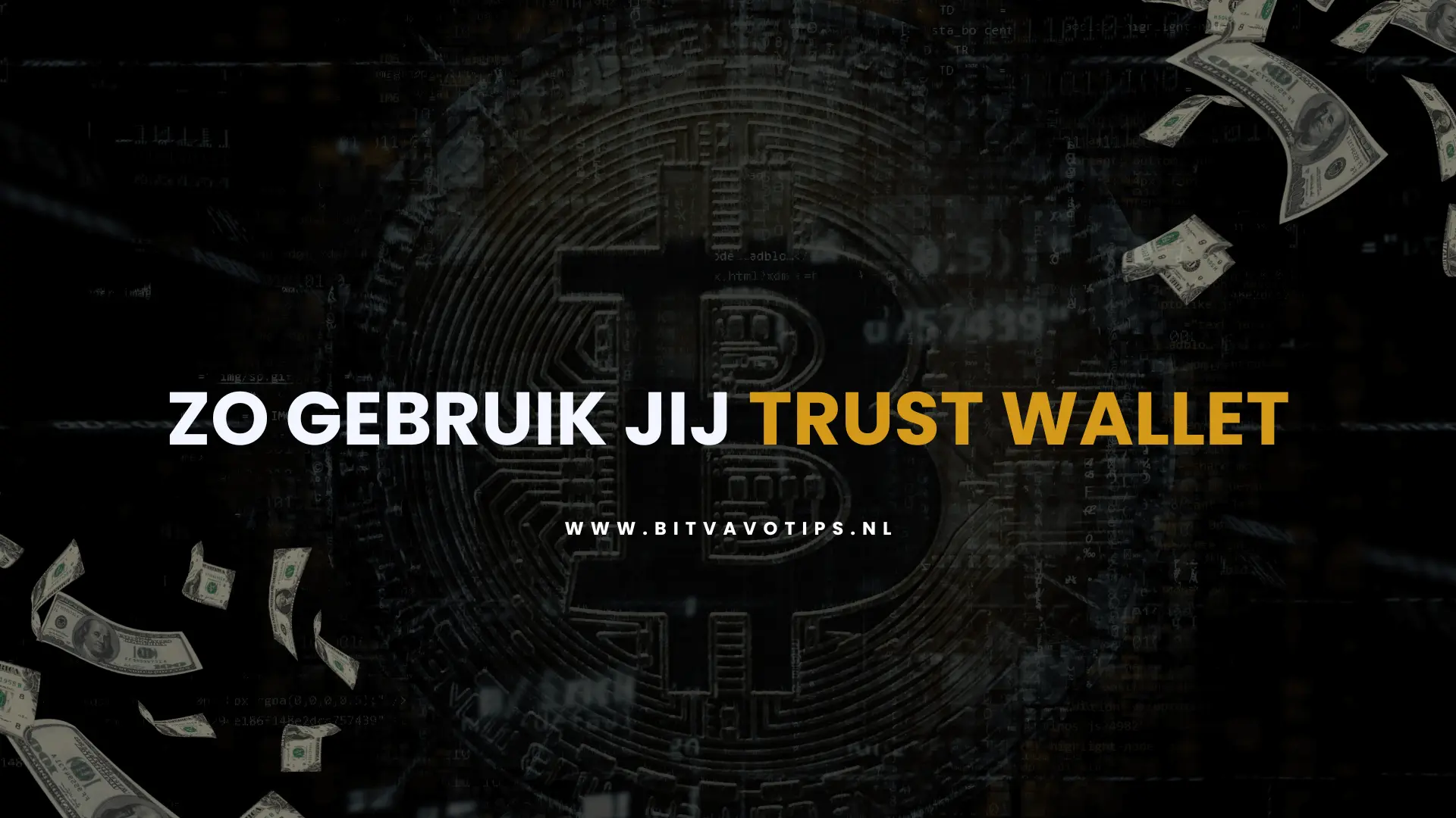 Hoe werkt Trust Wallet?