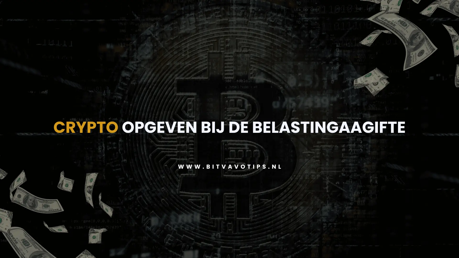 Crypto opgeven bij de Belastingaangifte (2024) 